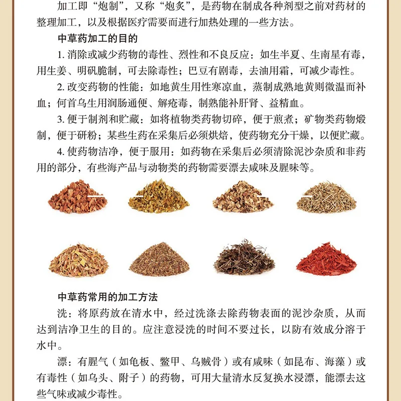 Herbal Wellness Guide - النظام الغذائي الصيني العشبي اليومي: دليل
