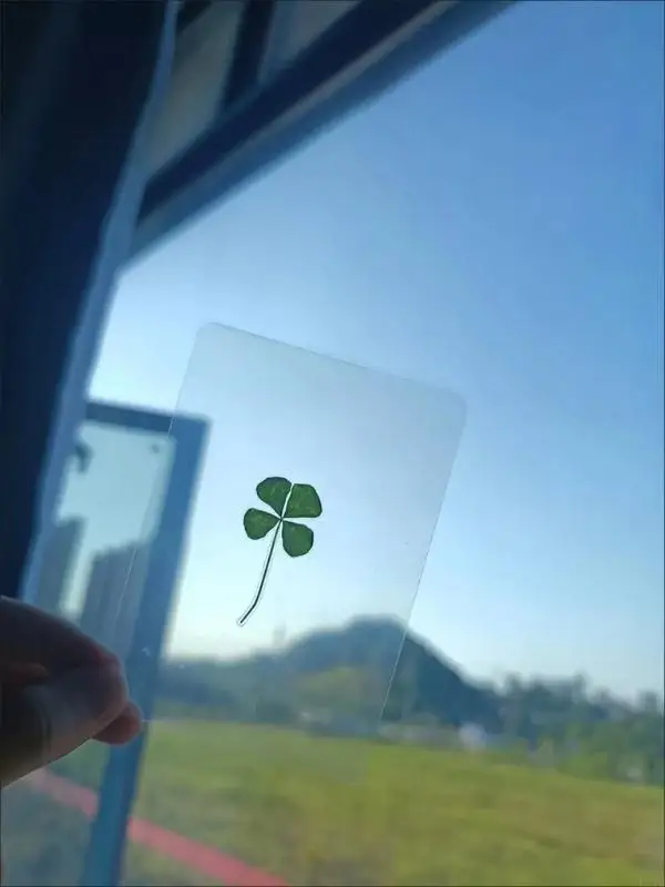 جديد 5 قطعة أوراق مجففة الطبيع - مراجعة Red Clover Flower وسعره