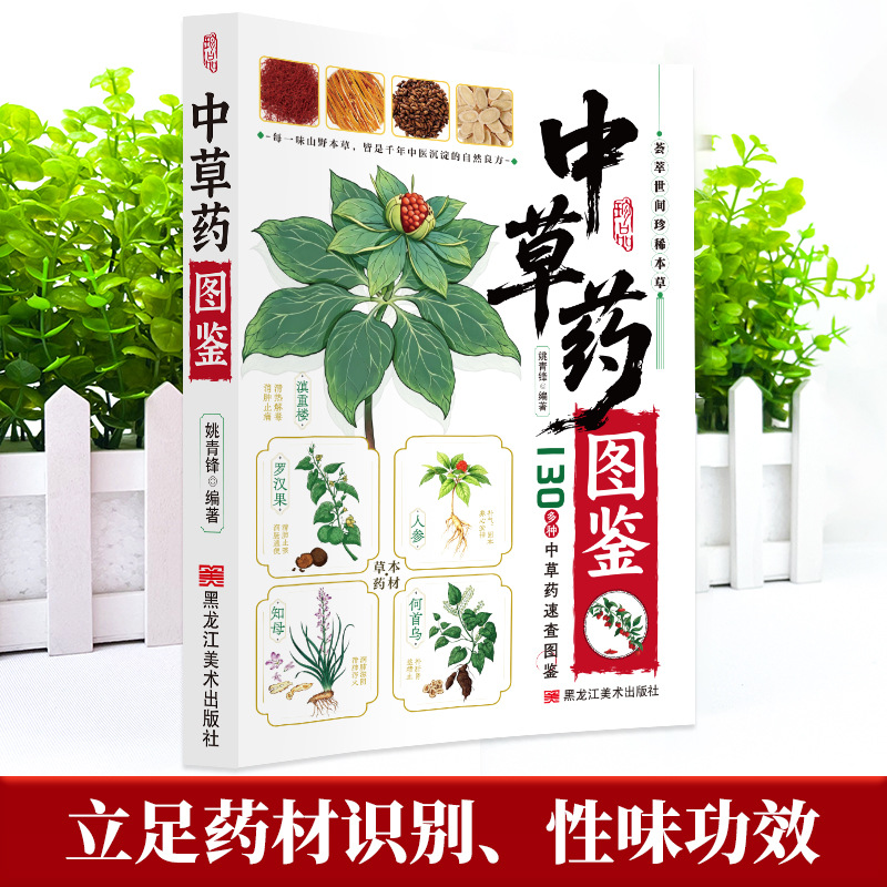دليل مصور للطب الصيني العشبي:  - مراجعة Herbal Wellness Guide وسعره