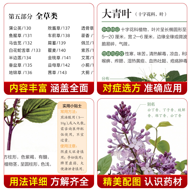 دليل مصور للطب الصيني العشبي:  - مراجعة Herbal Wellness Guide وسعره